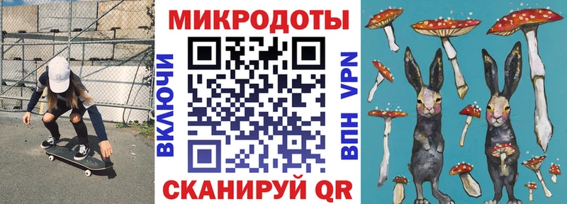 купить цена мега зеркало Галлюциногенные грибы MAGIC MUSHROOMS Конаково